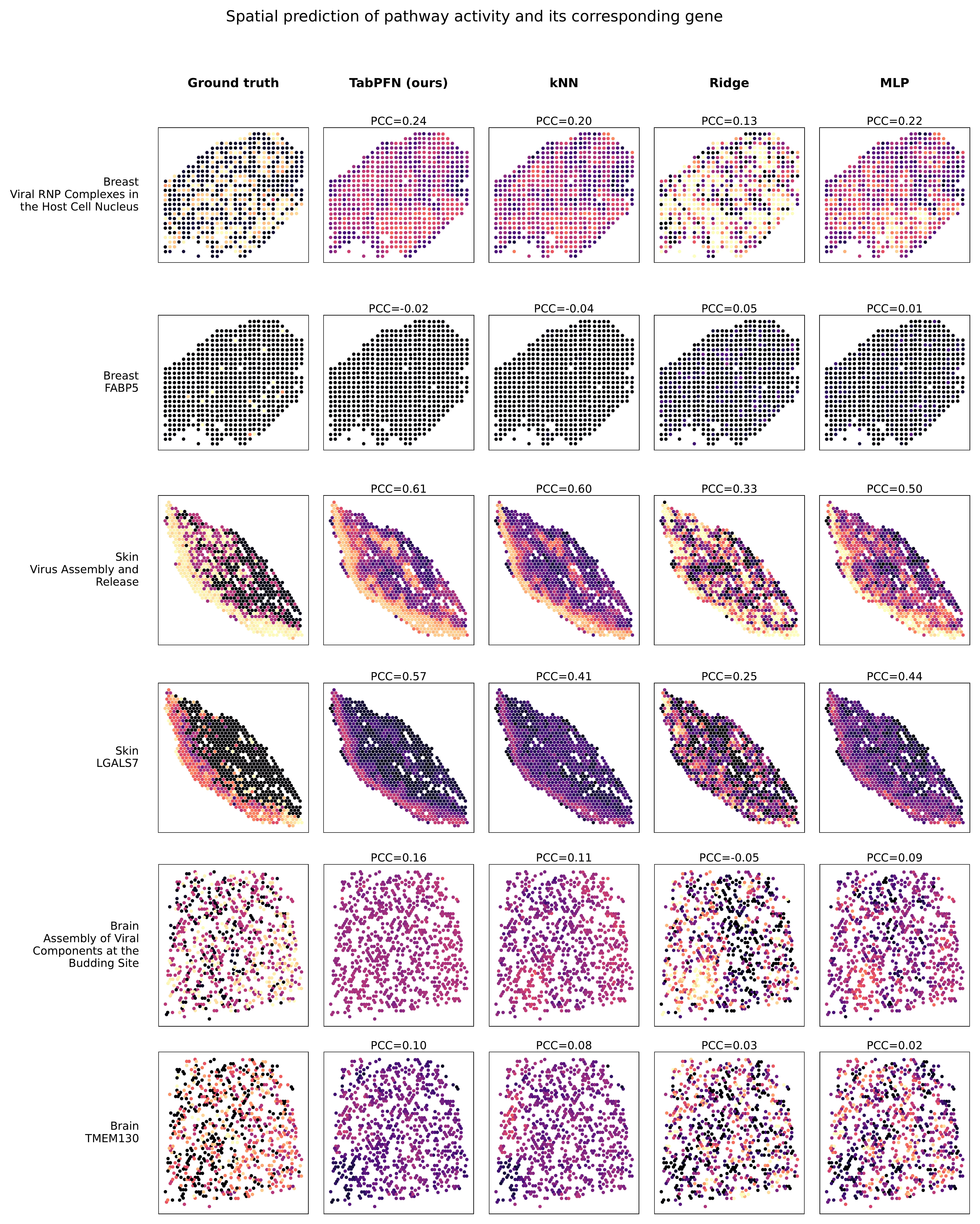 Ground-truth spatial pathway maps beside TabPFN, kNN, Ridge, and MLP reconstructions for Breast, Skin, and Brain.