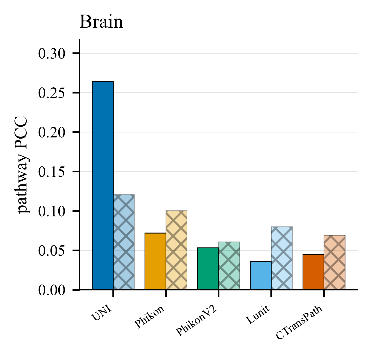 Matched versus within-section control decodability on Brain.